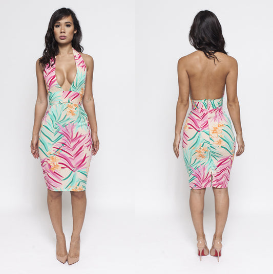 Aruba Dress